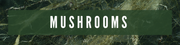 Mushrooms